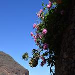Gran Canaria 4-2017